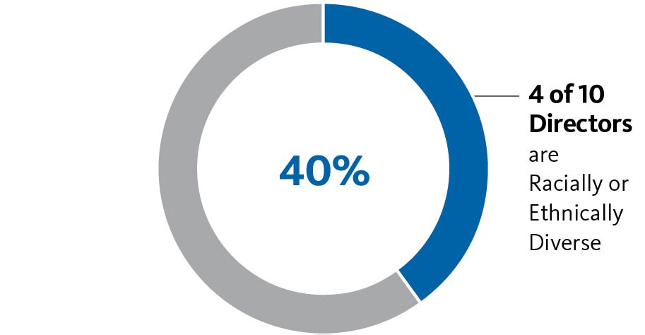 piechart_ethnic.jpg